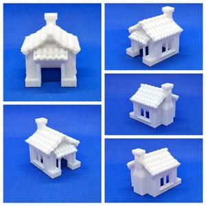 Jumping Spider Desert House Hide