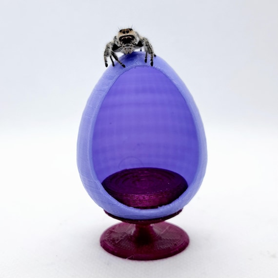 Jumping Spider Furniture ~ Egg Chair