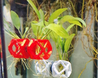 Shrimp Decor ~ Magnetic Geometric Design ~ Moss Holder ~ Subwassertang Holder ~ Anubias Holder ~ Plant Holder