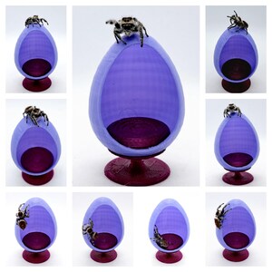 May include: Nine miniature purple egg-shaped chairs with a red base, each with a small jumping spider on top.