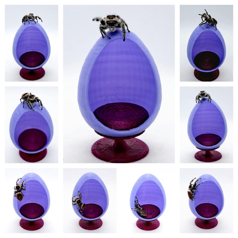 May include: Nine miniature purple egg-shaped chairs with a red base, each with a small jumping spider on top.