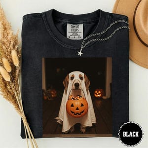 Op de afbeelding: Een zwart T-shirt met ronde hals en een afbeelding van een hond verkleed als spook, die een oranje pompoen-snoepemmer vasthoudt. Het shirt heeft een Comfort Colors-label in de nek en een zilverkleurige ketting met een sterhanger op de stof.