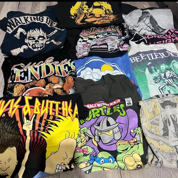 Mystery Thrifted Graphic T-Shirt Grab Bag: Vintage Y2K Surprise Tee, 90s, 80s, 2000s modern