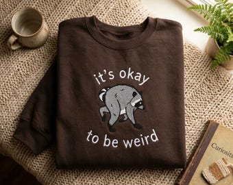 Embroidered Raccoon Sweatshirt: "It's Okay To Be Weird" Graphic Tee