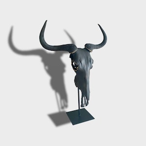 Puede incluir: Un cráneo de toro negro con cuernos curvados, montado sobre un soporte de metal negro. El cráneo tiene detalles dorados alrededor de las cuencas de los ojos y la base de los cuernos. Los cuernos se curvan hacia arriba y hacia afuera. El cráneo proyecta una sombra sobre el fondo blanco.