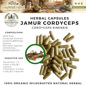 Può includere: Immagine di capsule a base di erbe etichettate come "Jamur Cordyceps" con il testo "Cordyceps Sinensis". Le capsule sono di colore verde chiaro e sono mostrate in un mucchio. L'immagine include anche testo sulla composizione e l'uso suggerito del prodotto.