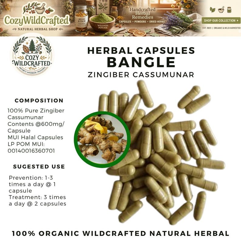 100-800 Capsules of Pure Bangle, Bunglai (zingiber Cassumunar) 100% ...