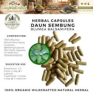Può includere: Immagine di capsule a base di erbe etichettate "Daun Sembung Blumea Balsamifera". Le capsule sono di colore marrone chiaro e sono sparse su uno sfondo bianco. L'immagine include anche testo sulla composizione e l'uso suggerito del prodotto.