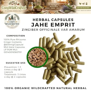 Peut inclure: Image de gélules à base de plantes "JAHE EMPRIT", avec le nom scientifique "Zingiber Officinale Var Amarum". Les gélules sont vert clair et sont présentées avec un gros plan de racine de gingembre. Le produit est 100% biologique et sauvage.