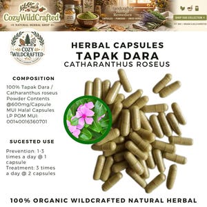以下が含まれることがあります： Tapak Dara Catharanthus Roseusとラベル付けされた薄茶色のハーブカプセルのコレクション。テキストには、1カプセルあたり600mgの成分、MUIハラール認証、使用方法が記載されています。円形のインセットには、緑の葉を持つピンクの花が描かれています。