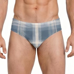 May include: Briefs featuring a blue and white plaid pattern. The swimwear or underwear garment has a low-rise waist and a fitted silhouette, showcasing a classic checkered design with soft color transitions between the blue and white tones.