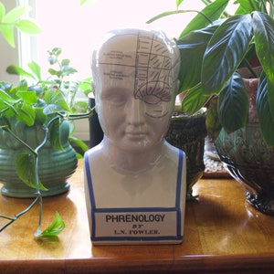Reproduction Phrenology Ceramic Head by L.N. Fowler