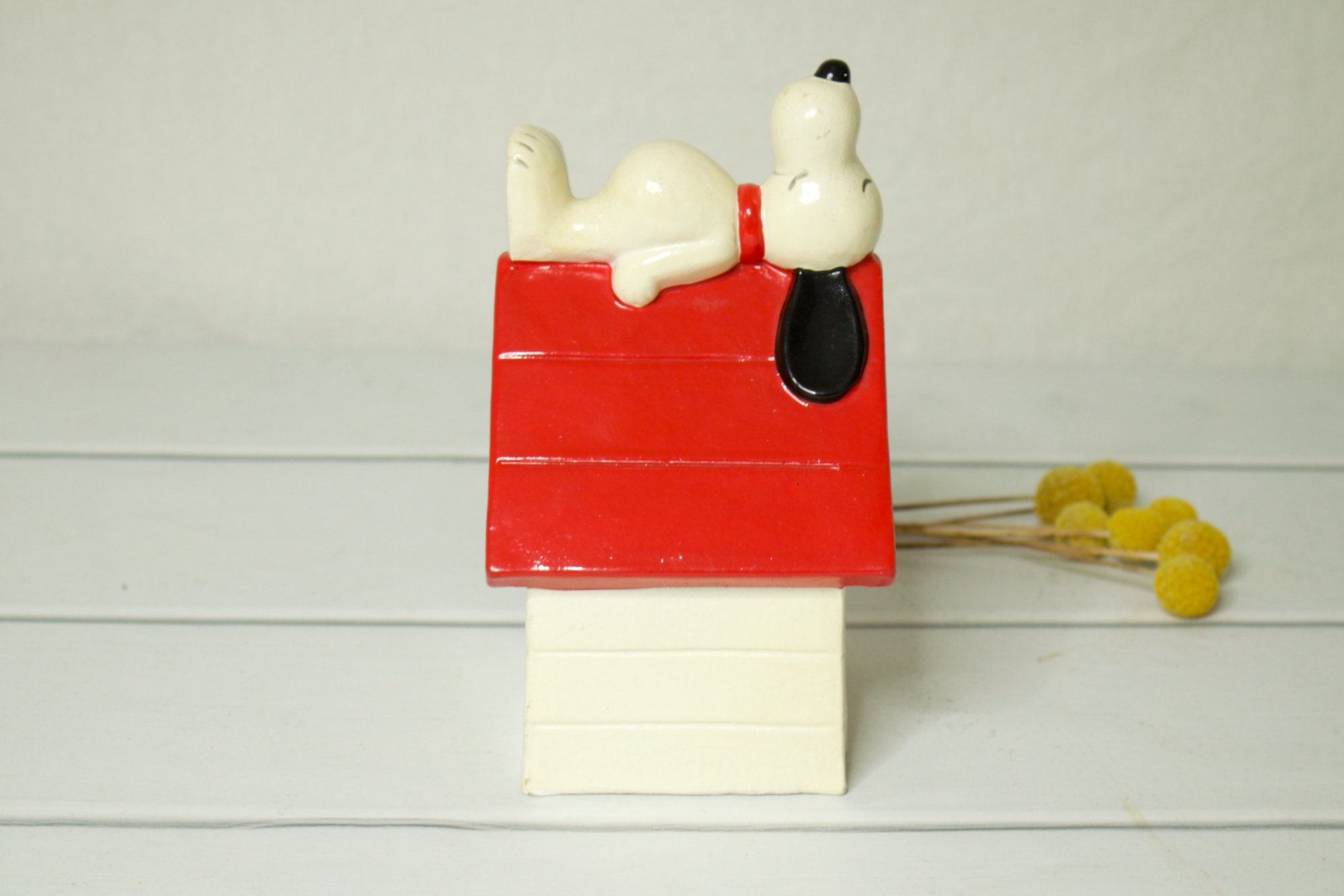 snoopy's dog house inside