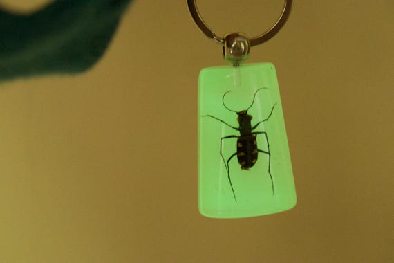 Cool Glow in the Dark Bug Key Chain - image 3