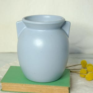Può includere: Un vaso in ceramica azzurra con due manici laterali, appoggiato su un libro verde. Il vaso ha un corpo arrotondato e un'ampia apertura. Fiori gialli secchi sono accanto al vaso. Il vaso è un oggetto decorativo.