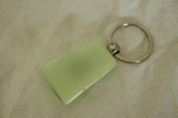 Cool Glow in the Dark Bug Key Chain - image 4