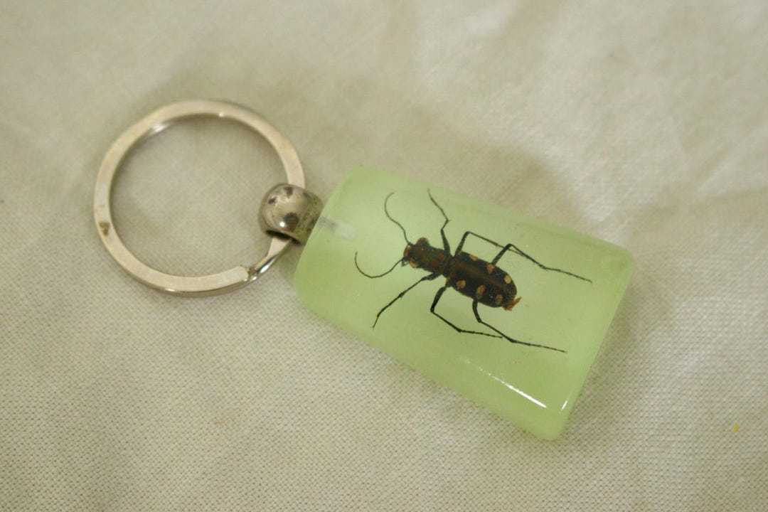 Cool Glow in the Dark Bug Key Chain - Etsy