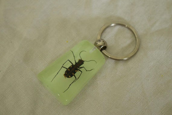 Cool Glow in the Dark Bug Key Chain - image 2