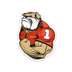 University of Georgia Football Vinyl Sticker OR Magnet