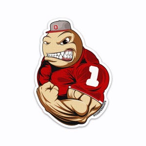 Go Buckeyes! Ohio State Vinyl Sticker - College Football Fan Decor