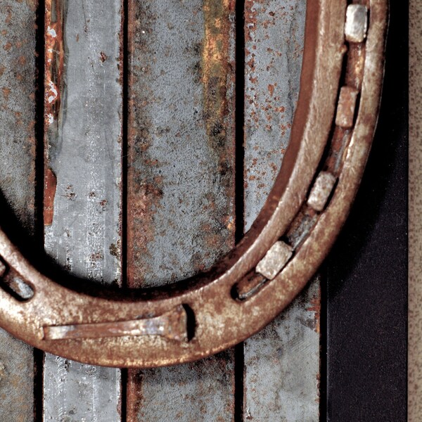 Wall Art, Reclaimed Horseshoe / horse shoe, framed and mounted on steel bars used to make horseshoes, Wall Hanging, Wall Decor
