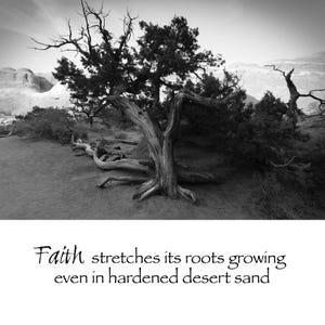 May include: Black and white photograph of a weathered tree with a gnarled trunk and branches, set against a desert landscape. The image includes the text "Faith stretches its roots growing even in hardened desert sand."