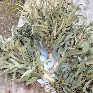 Può includere: Diversi mazzi di foglie di eucalipto essiccate con piccoli boccioli verdi sono disposti su una superficie di legno stagionato. Le foglie sono di un colore verde tenue e gli steli sono legati con spago. I mazzi sono probabilmente per scopi decorativi.