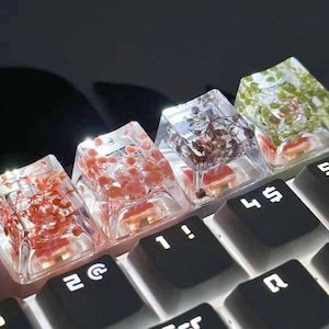 Könnte beinhalten: Nahaufnahme einer mechanischen Tastatur mit individuellen Tastenkappen. Die Tastenkappen sind aus transparentem Kunstharz und enthalten getrocknete Blumen in verschiedenen Farben. Die Tastaturtasten sind schwarz mit weißen Buchstaben und Symbolen.