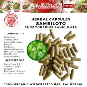 May include: A photograph of herbal capsules, identified as "Sambloto Andrographis Paniculata." The capsules are a light brown colour and are scattered on a white surface. The image includes text detailing the product's composition and usage, and the phrase "100% Organic Wildcrafted Natural Herbal."