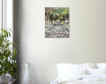 Into the Grove – Tropical Palm Canopy Fine Art Print, Moody Nature Photography, Coastal Wall Art