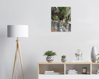 Tropical Palm Canopy Fine Art Print – Moody Coastal Nature Photography, Coconut Grove Wall Art