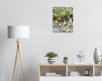 Hidden Tropics – Coconut Grove Fine Art Print, Tropical Nature Photography, Moody Coastal Wall Art