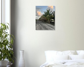 Tropical Palm Grove Fine Art Print – Moody Sunset Coastal Landscape Photography