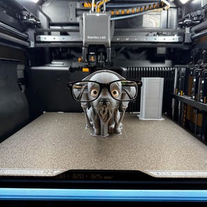 Bella im Drucker - frisch nach dem Druck