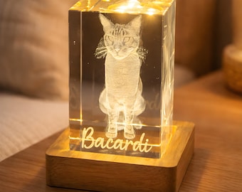 3D Kristallfoto im Glasblock personalisiert auf Wunsch beleuchtet, Geschenk Familie Baby Haustier Auto, Andenken, 3D Laser Gravur