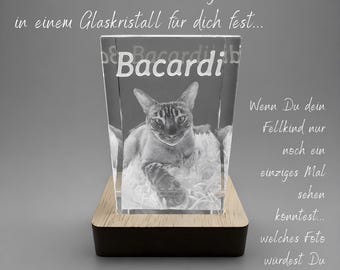 Cubo de cristal con grabado fotográfico 3D personalizado en su interior / Regalo reconfortante / Regalo de despedida para perros y gatos / Regalo personalizado