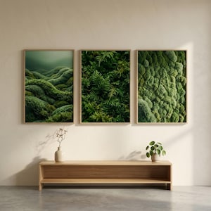 May include: Three framed nature prints featuring close-up views of green moss and foliage. The artwork is displayed above a wooden console table, creating a natural and serene aesthetic. The frames have a light wood finish.