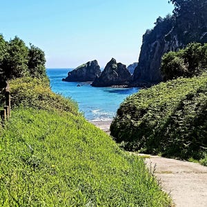 Könnte beinhalten: Eine malerische Küstenansicht mit einem Weg zum Meer. Üppiges grünes Gras und Vegetation säumen den Weg, mit einem Holzzaun auf der linken Seite. Das klare blaue Wasser und der Himmel schaffen eine ruhige Atmosphäre.