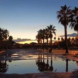 Könnte beinhalten: Abendliche Landschaft mit Palmen, die sich in einer Wasserpfütze spiegeln. Der Himmel wechselt von Blau zu Orange, die Bäume sind vor dem farbenfrohen Himmel silhouettiert. Symmetrische Komposition.