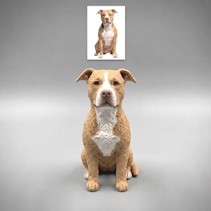 Può includere: Una statuetta di cane color marrone chiaro e bianco in posizione seduta con dettagli del pelo testurizzati, orecchie a punta e una macchia bianca sul petto. Sopra la statuetta c'è una piccola fotografia quadrata dello stesso cane.