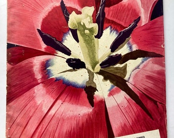 Mars 1938 Maison et jardin printemps double édition du guide de jardinage Conde Nast architecture design tulipe rouge couleurs vives publicités pour Martex Lincoln