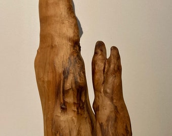 vintage midcentury cypress knee sculpture gorgeous figural and tonal variations 22” x 9” natural wood art object plant decor display 1950s