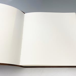 Puede incluir: Un diario encuadernado en cuero marr&oacute;n con p&aacute;ginas blancas en blanco. El diario est&aacute; abierto en una p&aacute;gina nueva, listo para escribir.