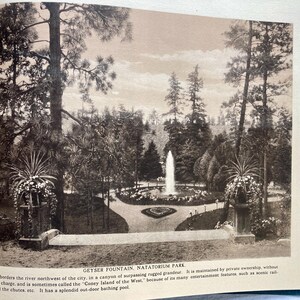 Op de afbeelding: Een zwart-witfoto van een fontein in een park met bomen en bloemen. De fontein bevindt zich in het midden van de afbeelding en wordt omringd door een cirkelvormig pad. De tekst "GEYSER FOUNTAIN, NATATORIUM PARK" staat onderaan de afbeelding.