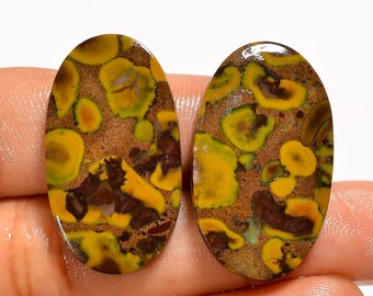 Par de gemas de jaspe fruta natural - Par de gemas polidas - Par de brincos combinando em cabochão 30x16x4 mm 38 quilates