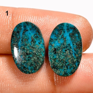 Natural Chrysocolla Cabochon Pair - Flat Back Both Side Polished Chrysocolla - Crystal Pair - Chrysocolla Earrings Pair - Gemstone Pair