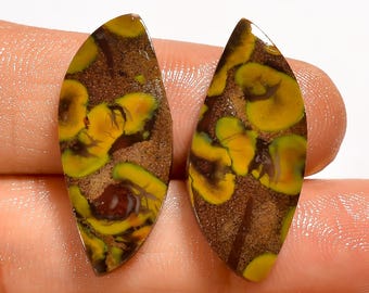 Par de gemas de jaspe fruta natural - Par de gemas polidas - Par de brincos combinando em cabochão 27x11x3 mm 19,5 quilates