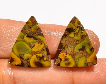 Par de gemas de jaspe fruta natural - Par de gemas polidas - Par de brincos combinando em cabochão 20x17x3 mm 17 quilates