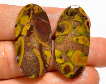 Par de gemas de jaspe fruta natural - Par de gemas polidas - Par de brincos combinando em cabochão 31x14x3 mm 31 quilates