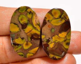 Par de gemas de jaspe fruta natural - Par de gemas polidas - Par de brincos combinando em cabochão 28x16x4 mm 37,5 quilates